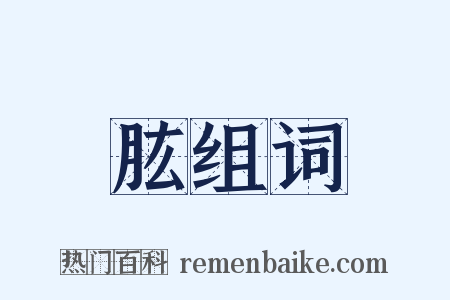 肱组词是什么意思的图片